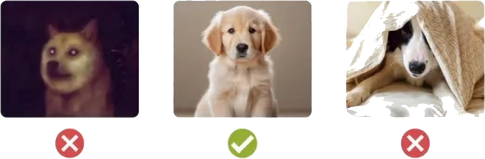 Fotoğraf örnekleri - doğru ve yanlış